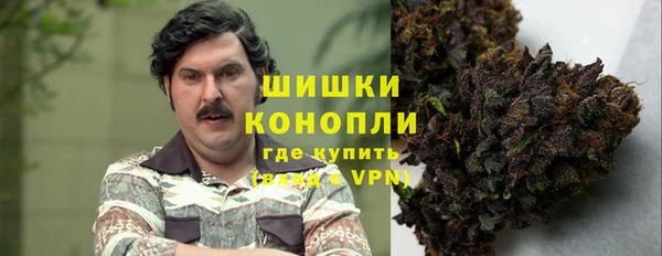 молекула духа Богородск