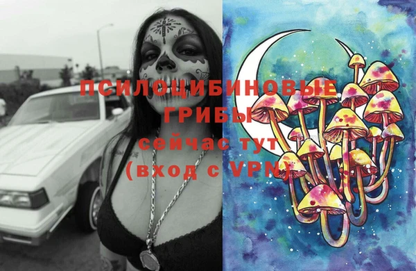 тгк Богородицк