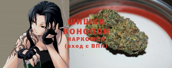 тгк Богородицк