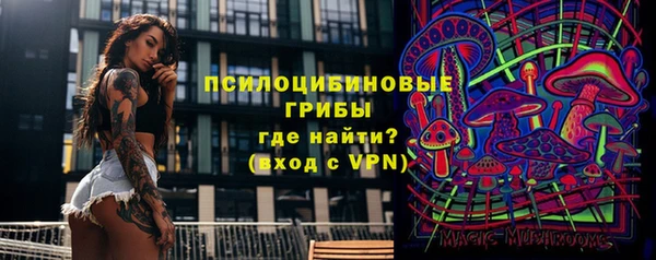тгк Богородицк