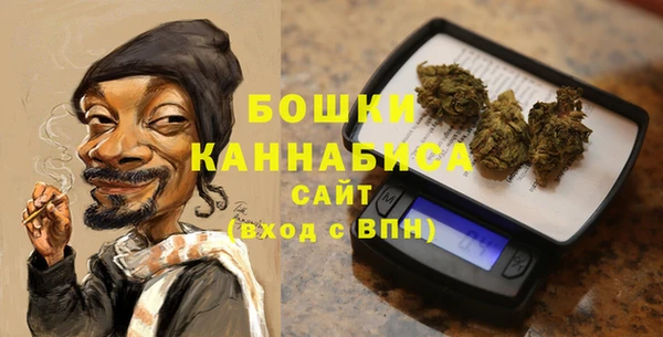 молекула духа Богородск