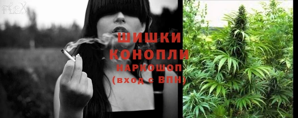 тгк Богородицк