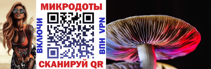 как найти   omg маркетплейс  Галлюциногенные грибы Psilocybine cubensis  Киреевск 