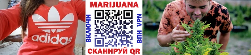 Каннабис сатива  где найти наркотики  Киреевск 